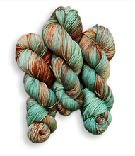 Load image into Gallery viewer, Ready to Ship Four Ply Fingering - Conifer
